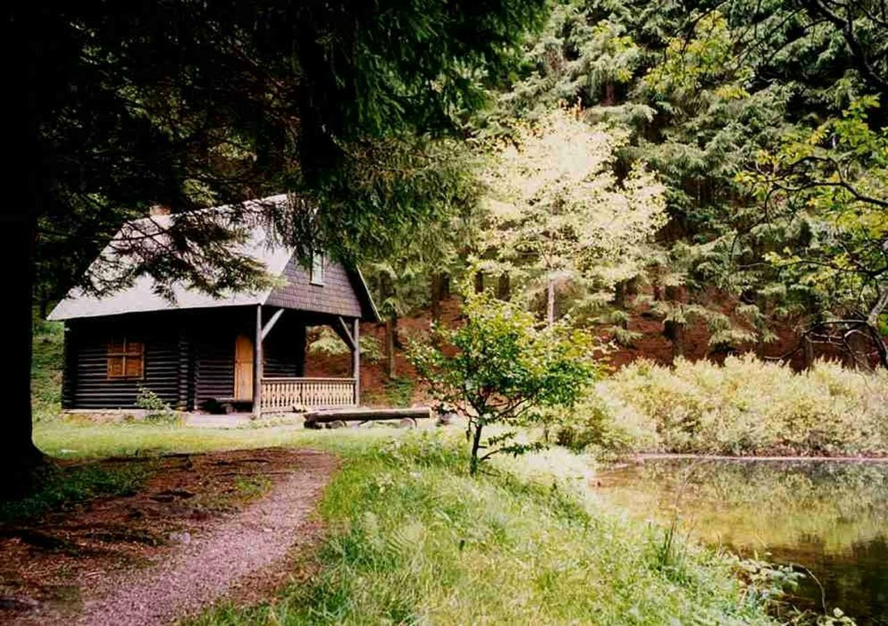 Hotel Gasthof Zum Walfisch 克林根塔尔 外观 照片